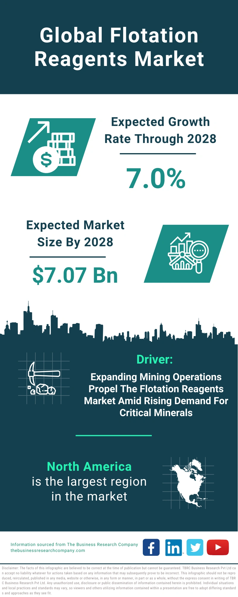 Flotation Reagents Global Market Report 2024