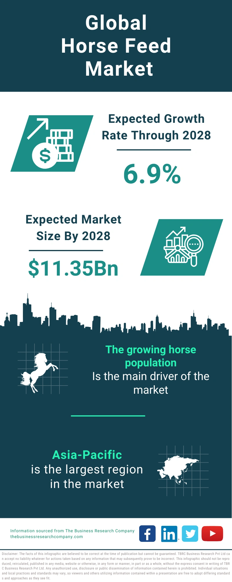 Horse Feed Global Market Report 2024