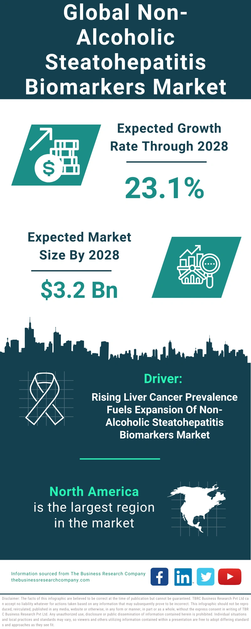 Non-Alcoholic Steatohepatitis Biomarkers Global Market Report 2024