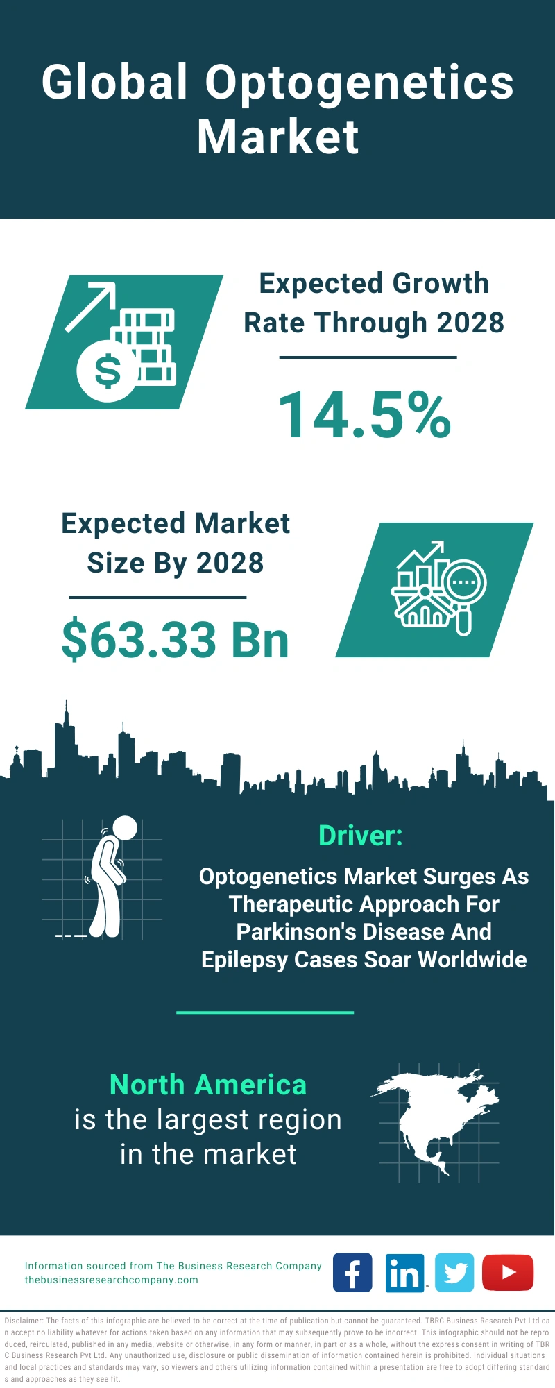Optogenetics Global Market Report 2024