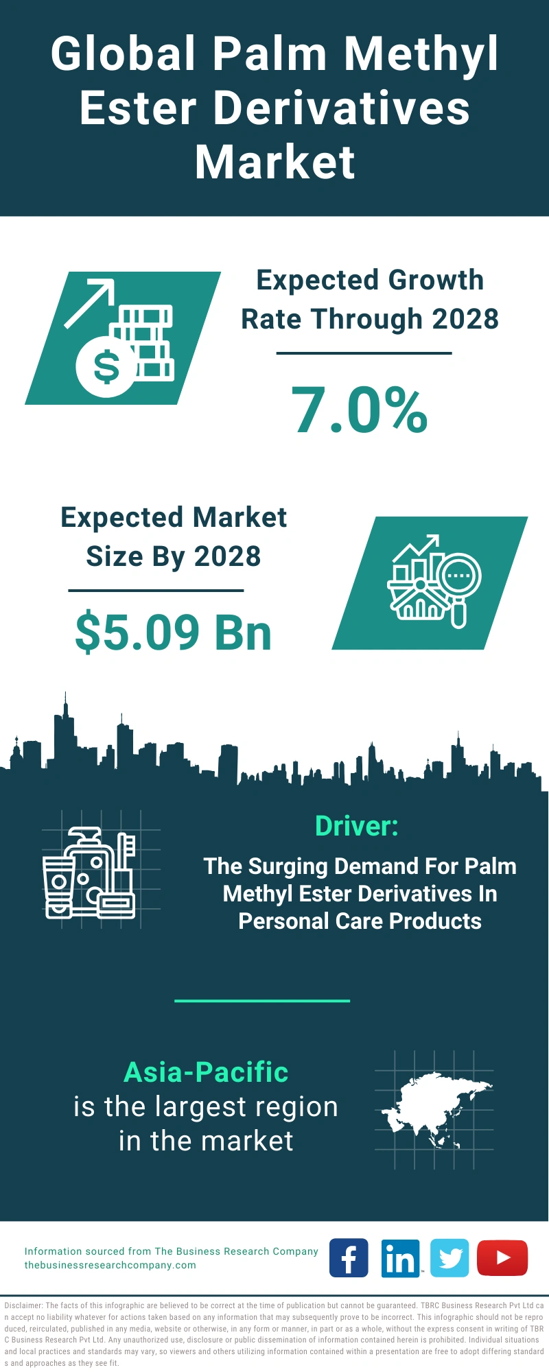 Palm Methyl Ester Derivatives Global Market Report 2024