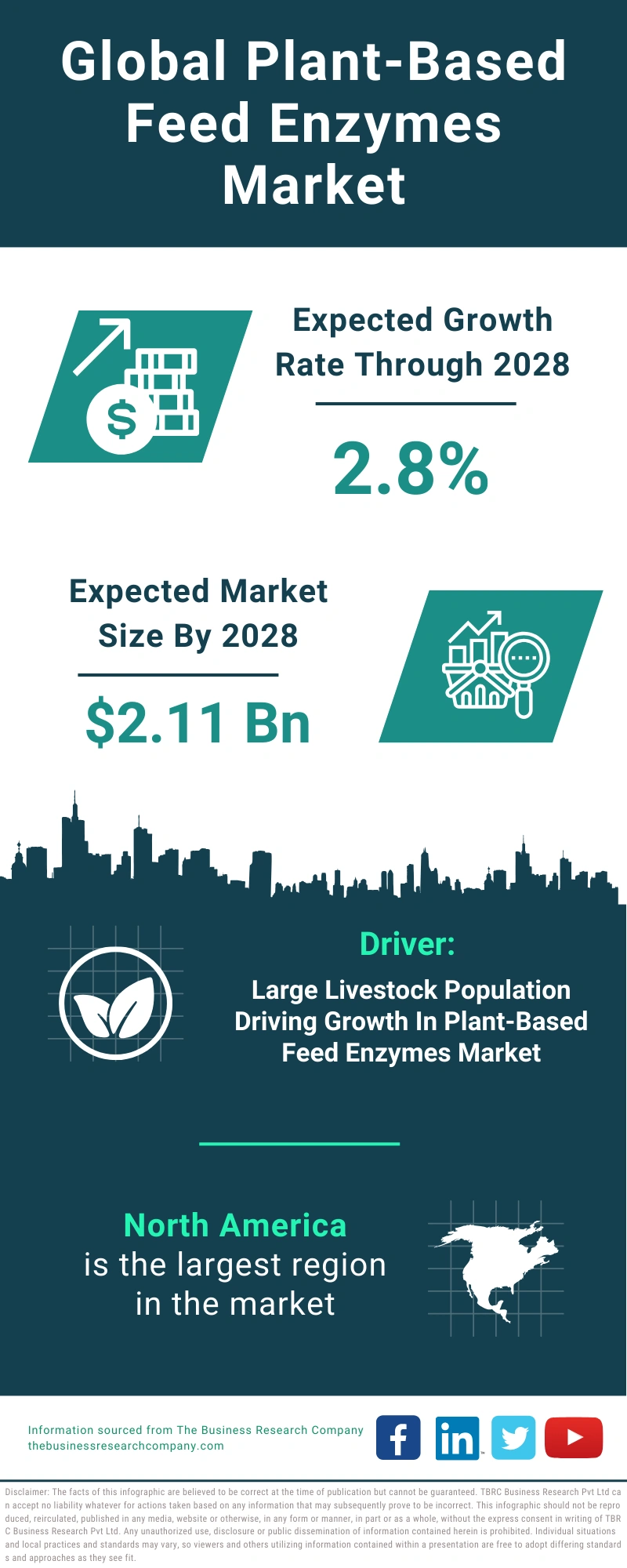 Plant-Based Feed Enzymes Global Market Report 2024
