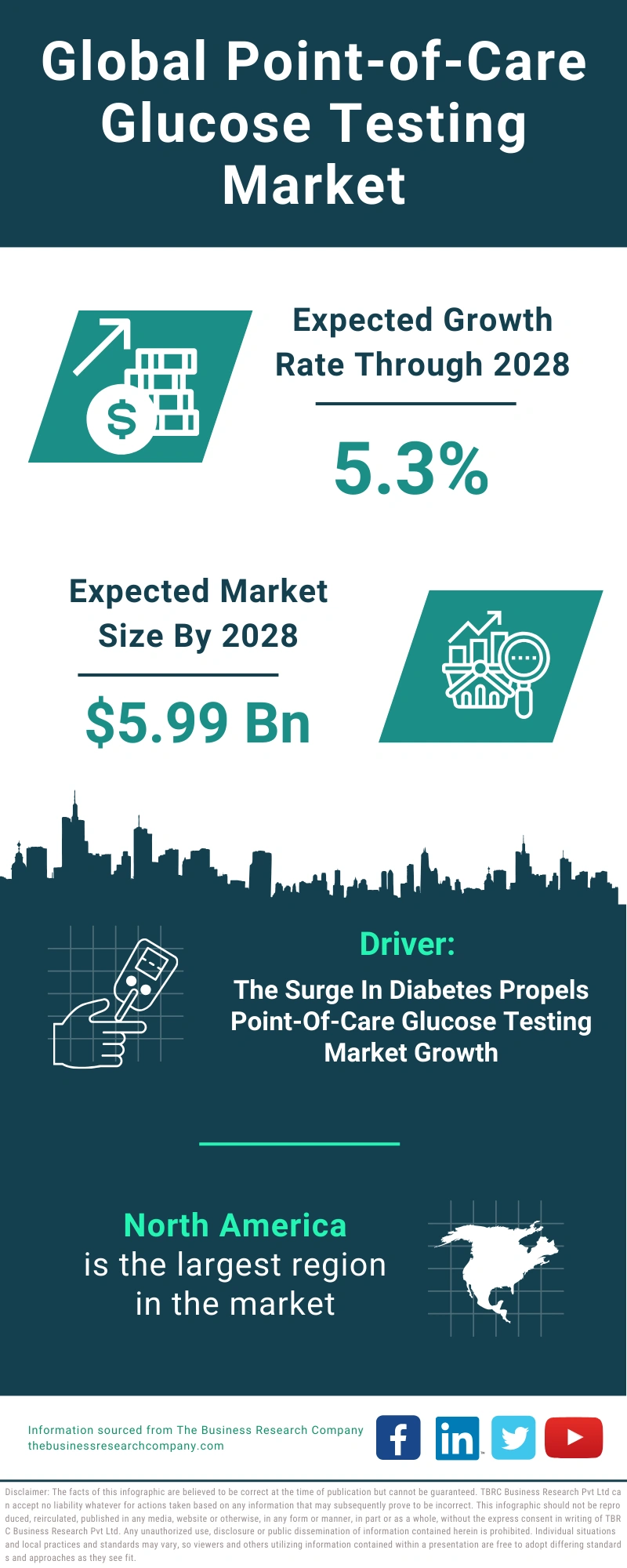 Point-of-Care Glucose Testing Global Market Report 2024