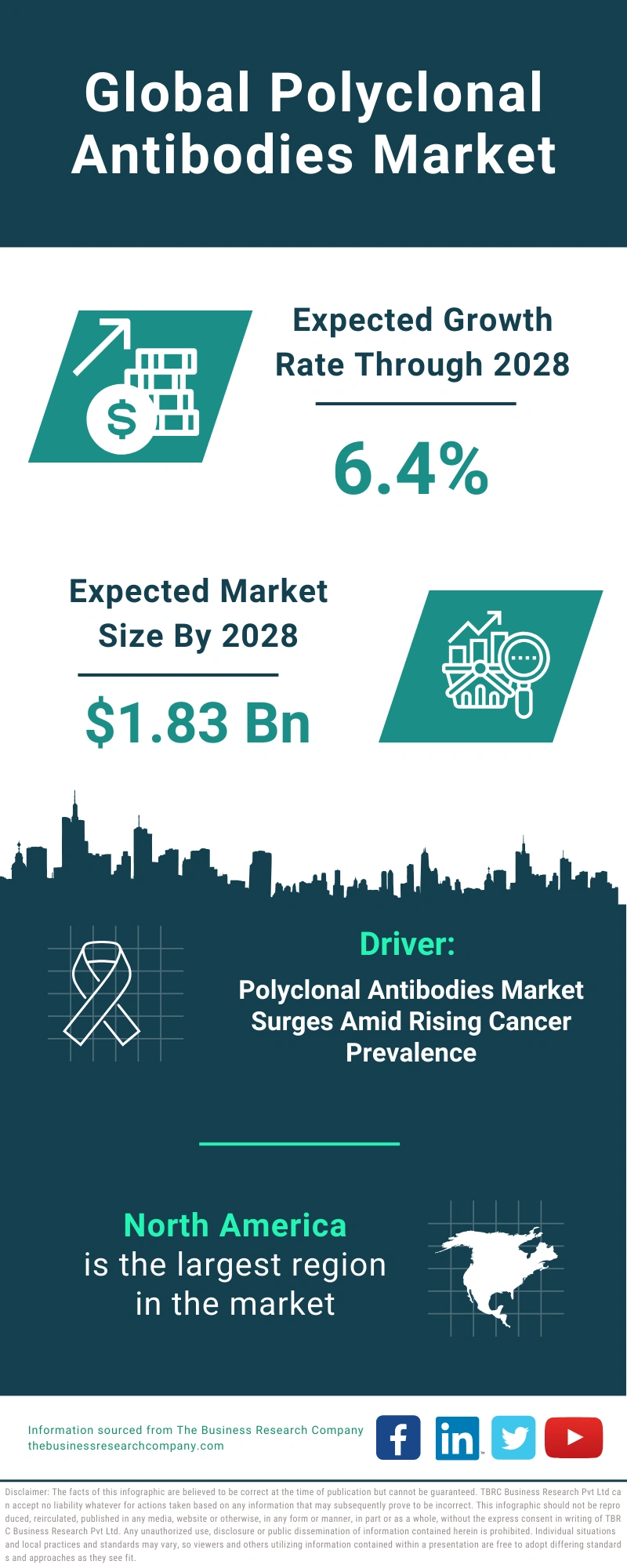 Polyclonal Antibodies Global Market Report 2024