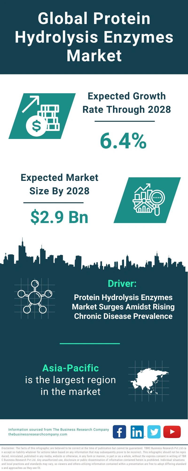 Protein Hydrolysis Enzymes Global Market Report 2024