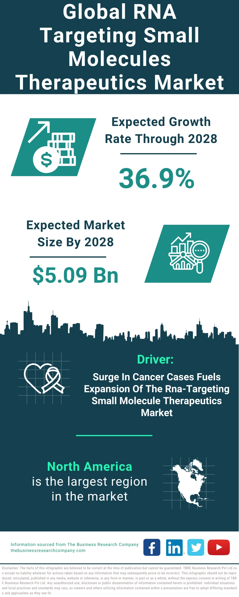 RNA Targeting Small Molecules Therapeutics Global Market Report 2024