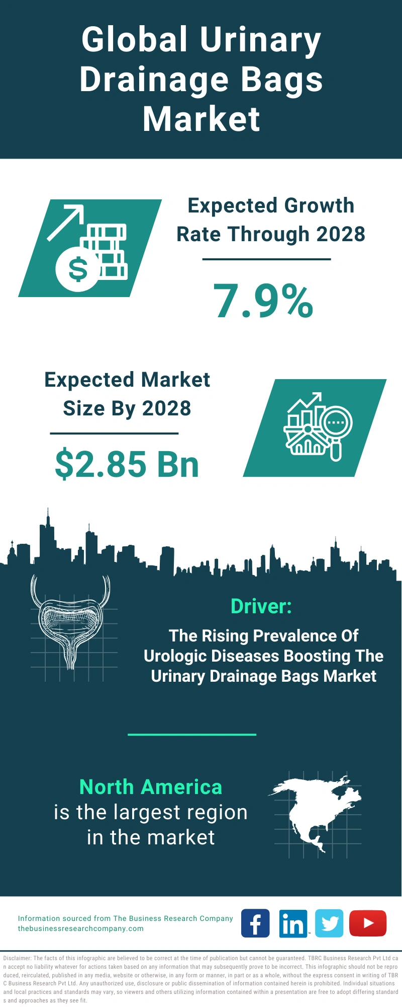 Urinary Drainage Bags Global Market Report 2024