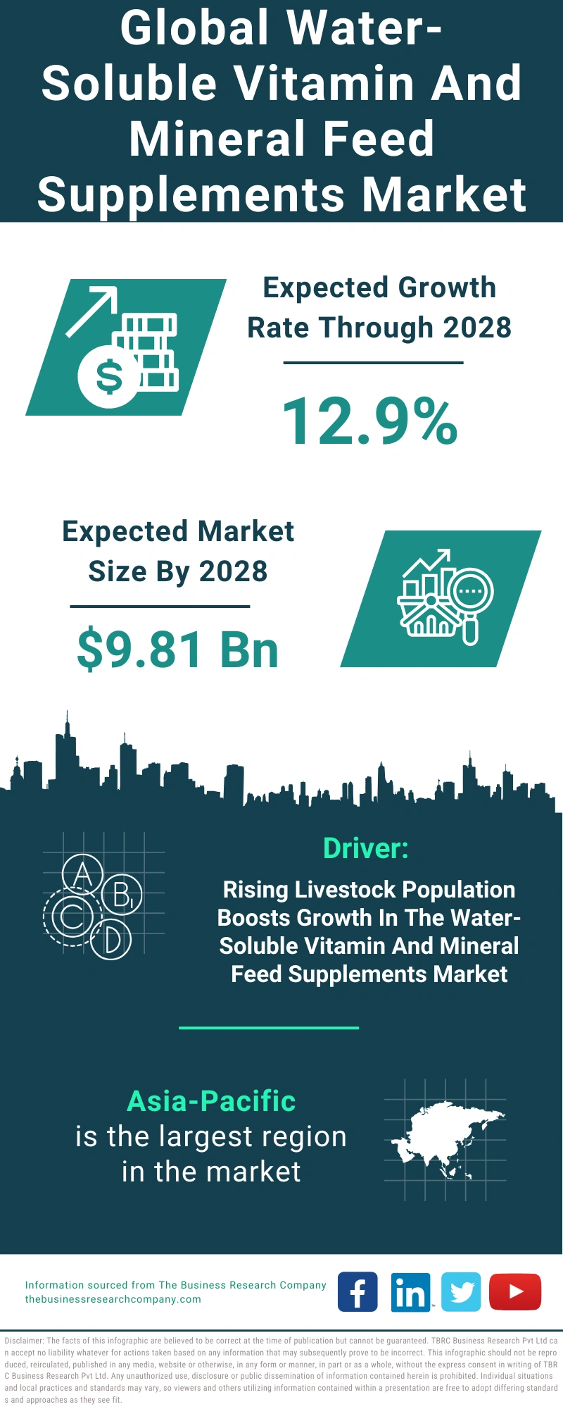 Water-Soluble Vitamin And Mineral Feed Supplements Global Market Report 2024