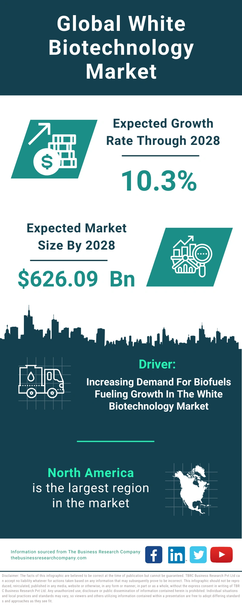 Global White Biotechnology Market Infographic