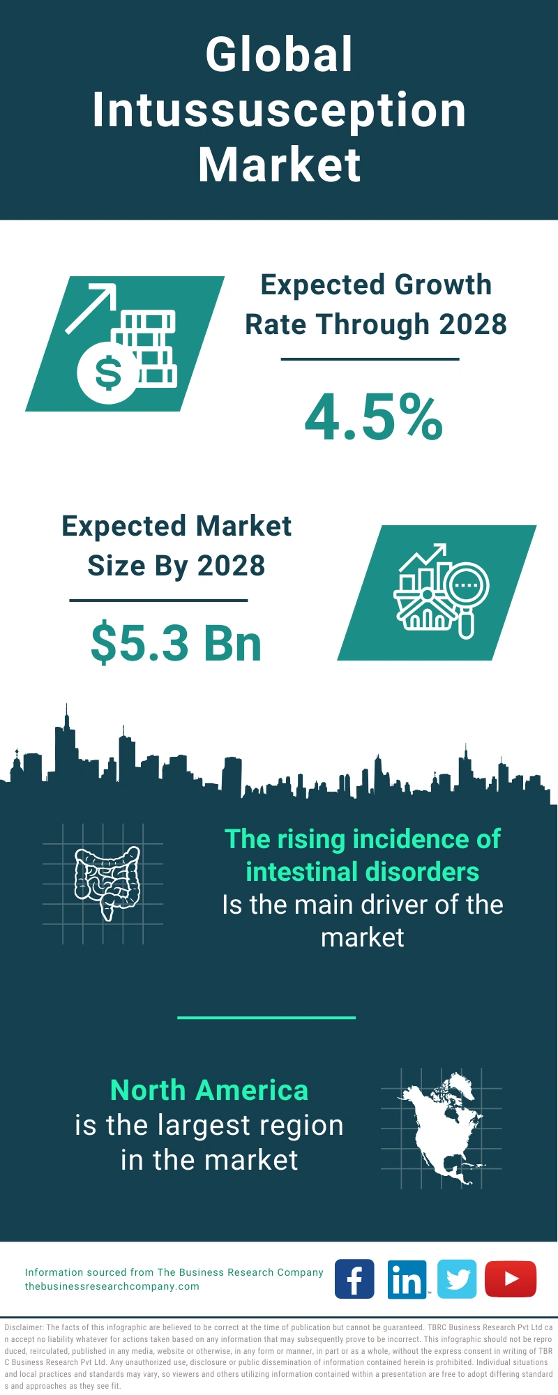 Intussusception Global Market Report 2024