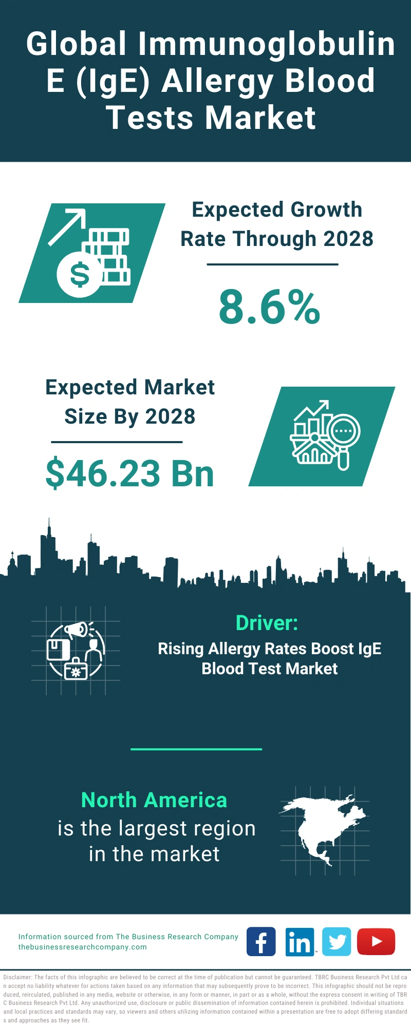 Immunoglobulin E (IgE) Allergy Blood Tests Global Market Report 2024