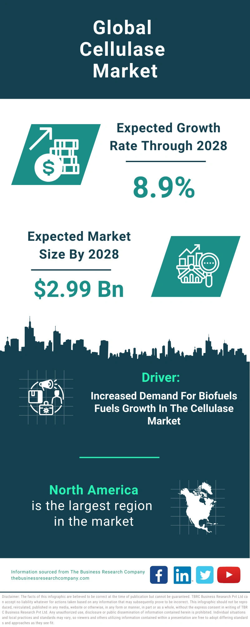 Cellulase Global Market Report 2024