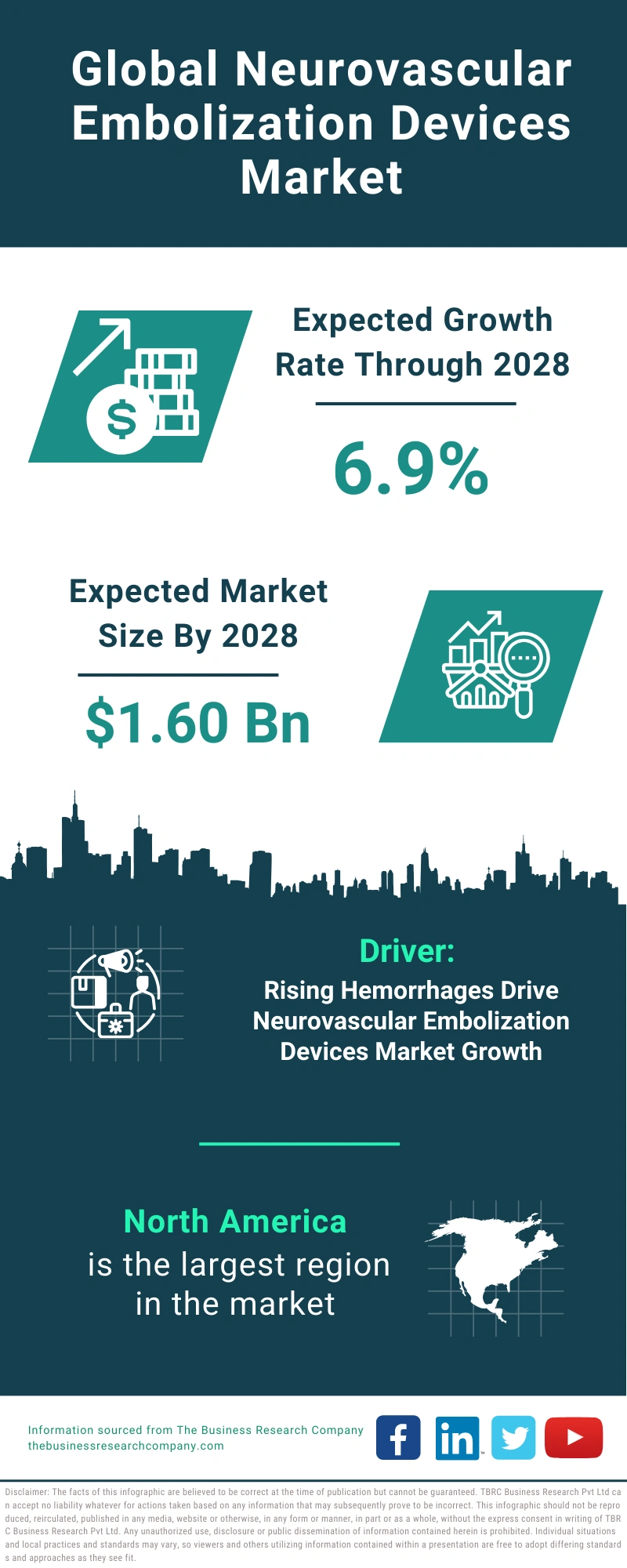 Neurovascular Embolization Devices Global Market Report 2024