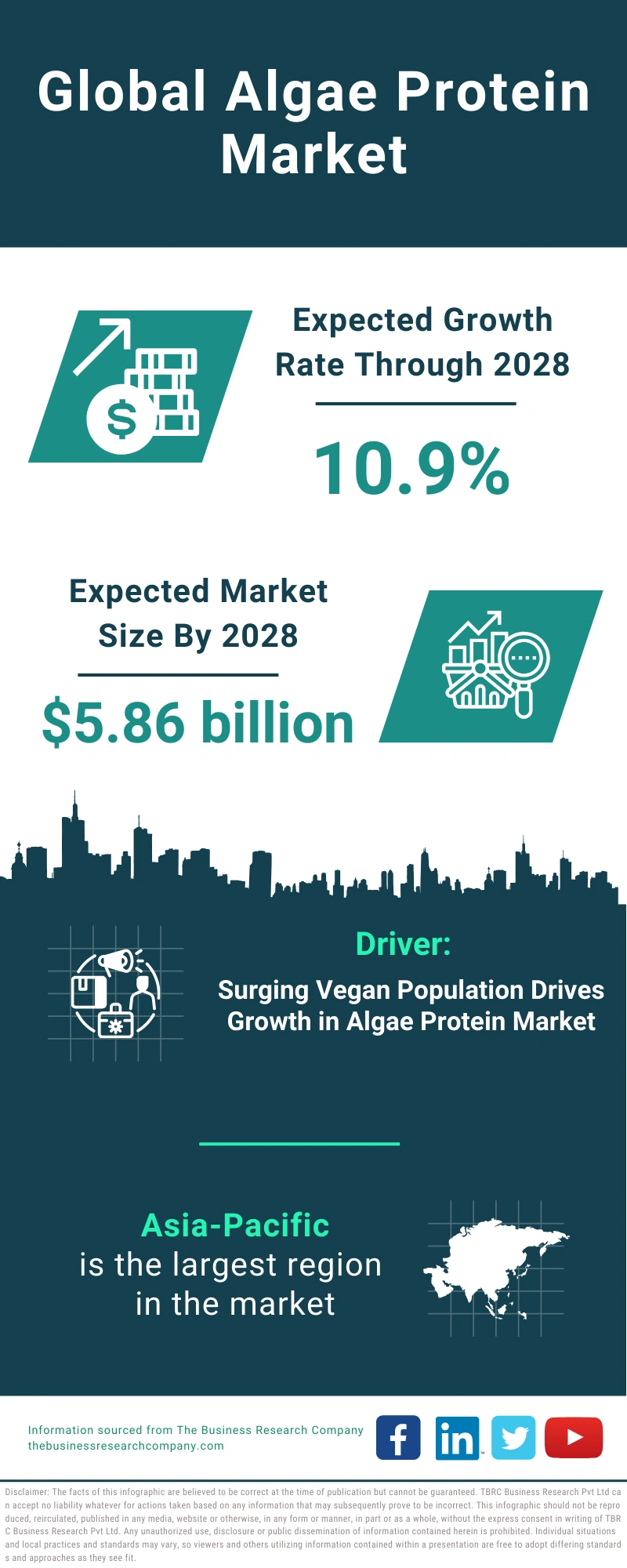 Global Algae Protein Market Infographic