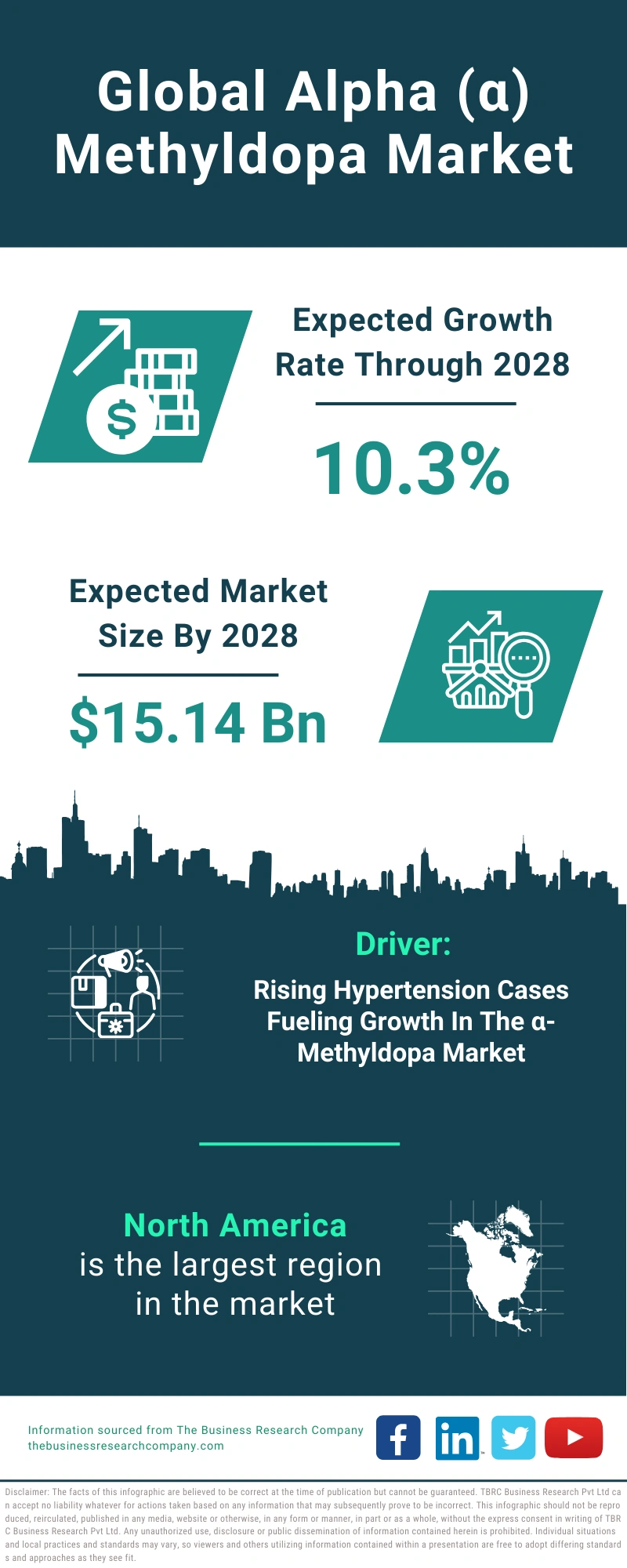 Global Alpha Methyldopa Market Infographic