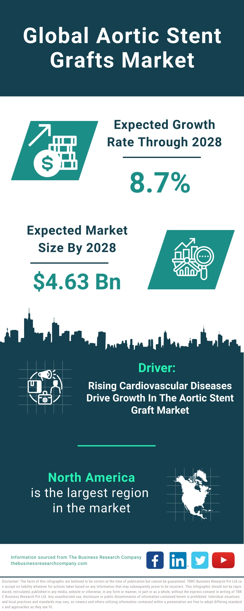 Global Aortic Stent Grafts Market Infographic