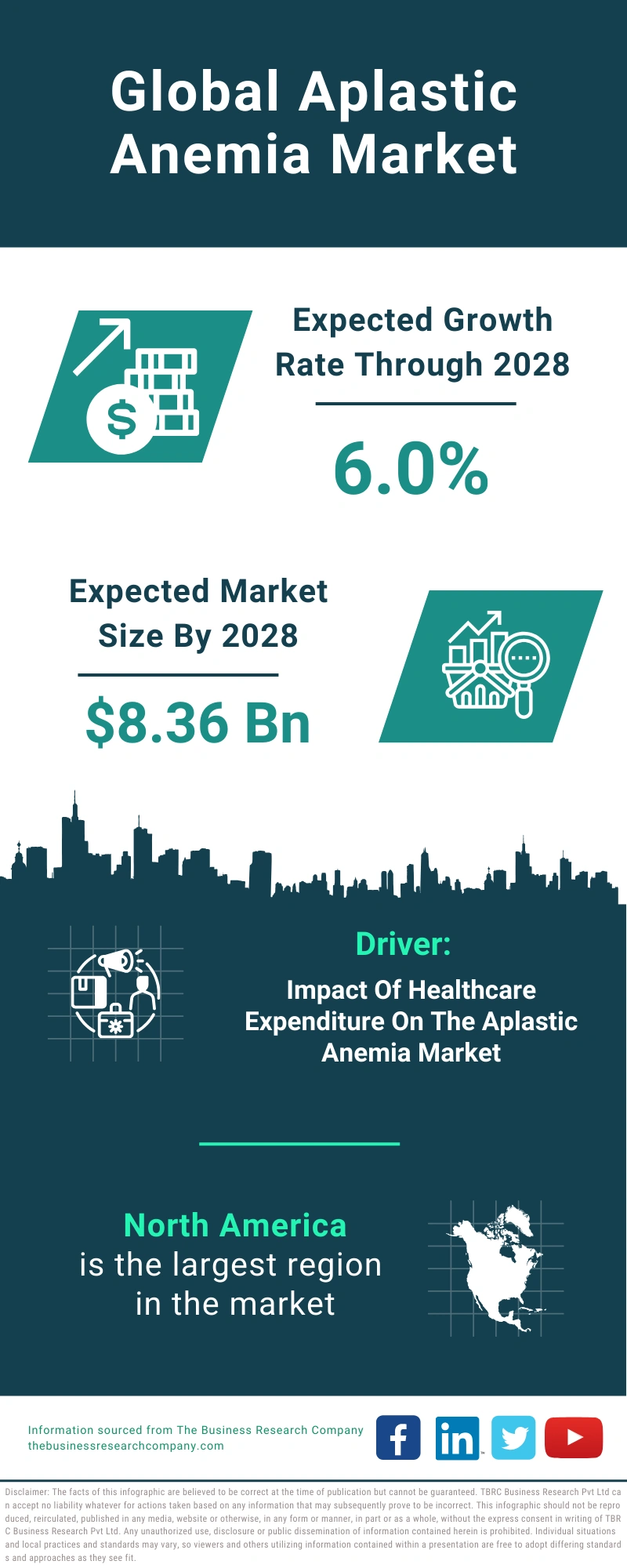 Global Aplastic Anemia Market Infographic