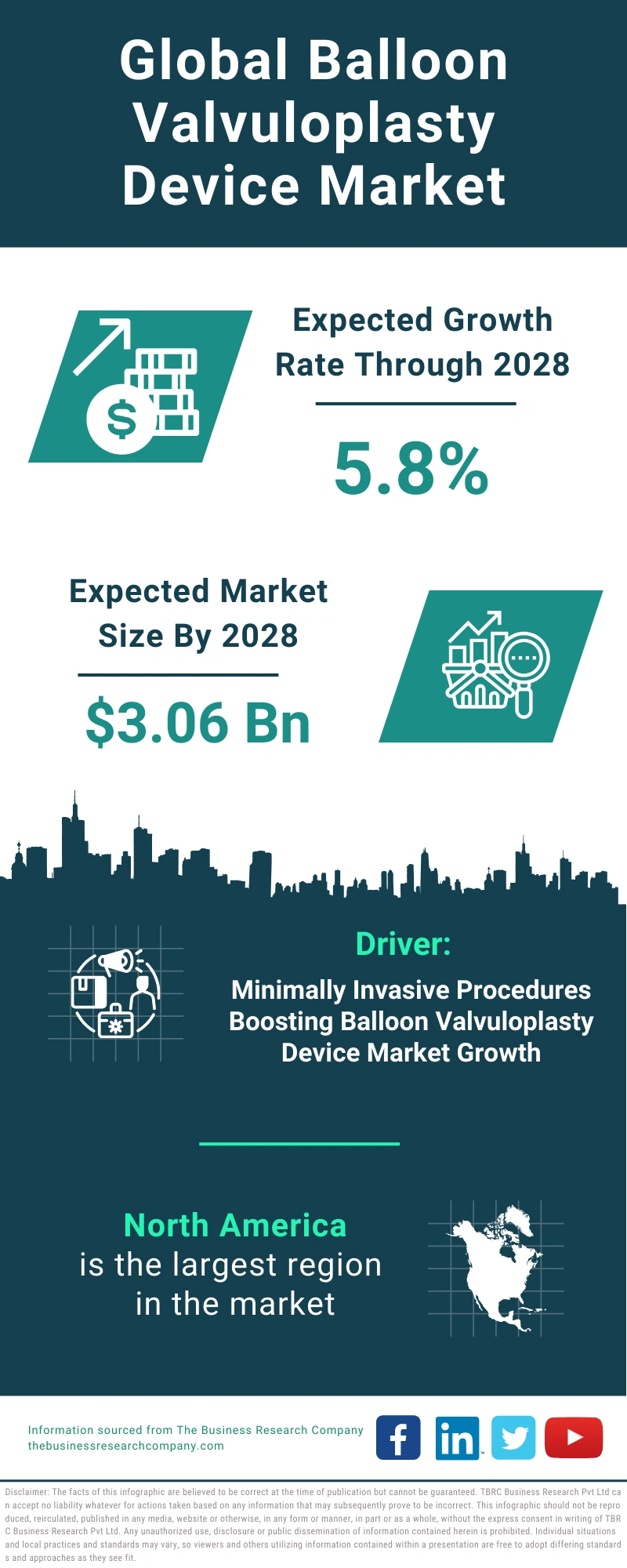 Global Balloon Valvuloplasty Device Market Infographic