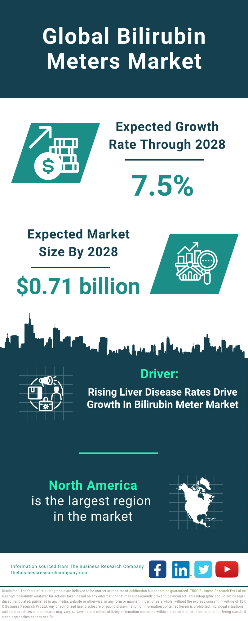 Global Bilirubin Meters Market Infographic