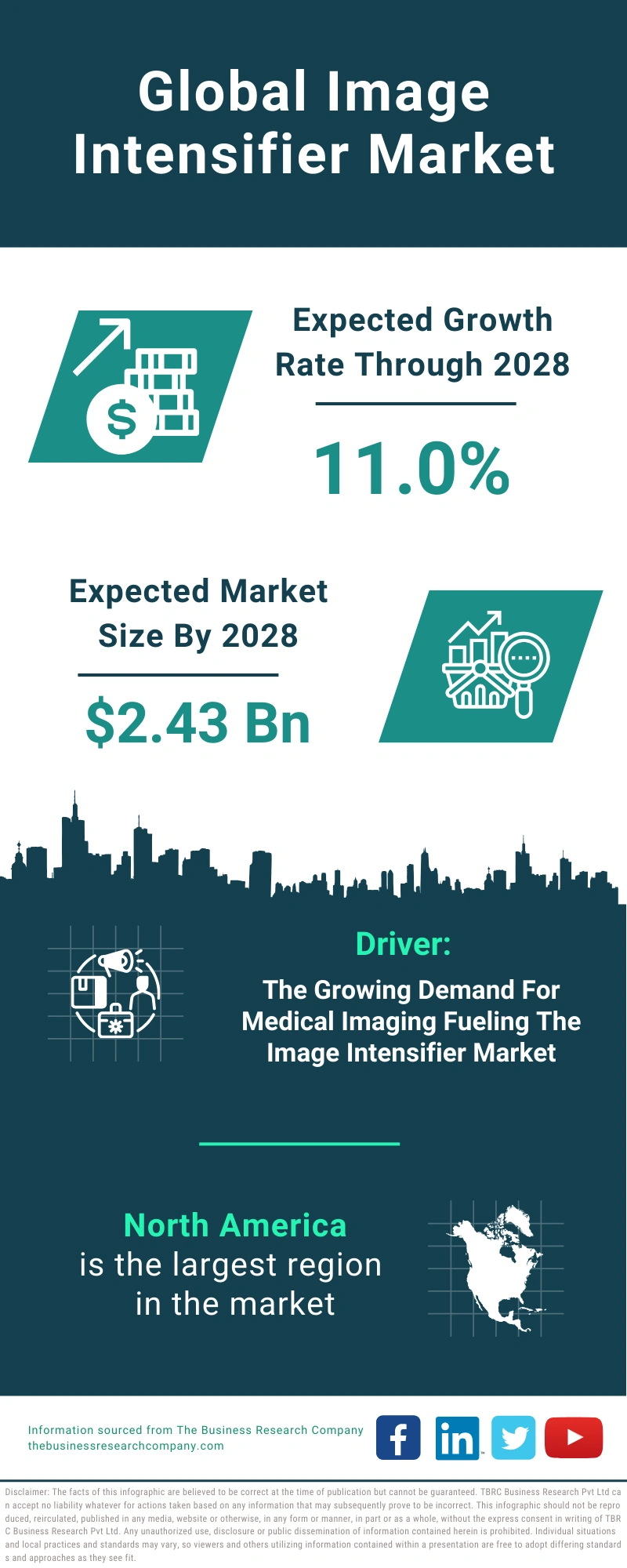 Global Image Intensifier Market Infographic