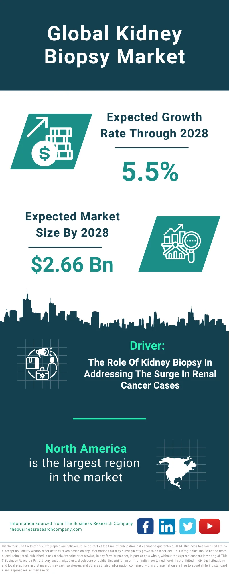 Kidney Biopsy Global Market Report 2024