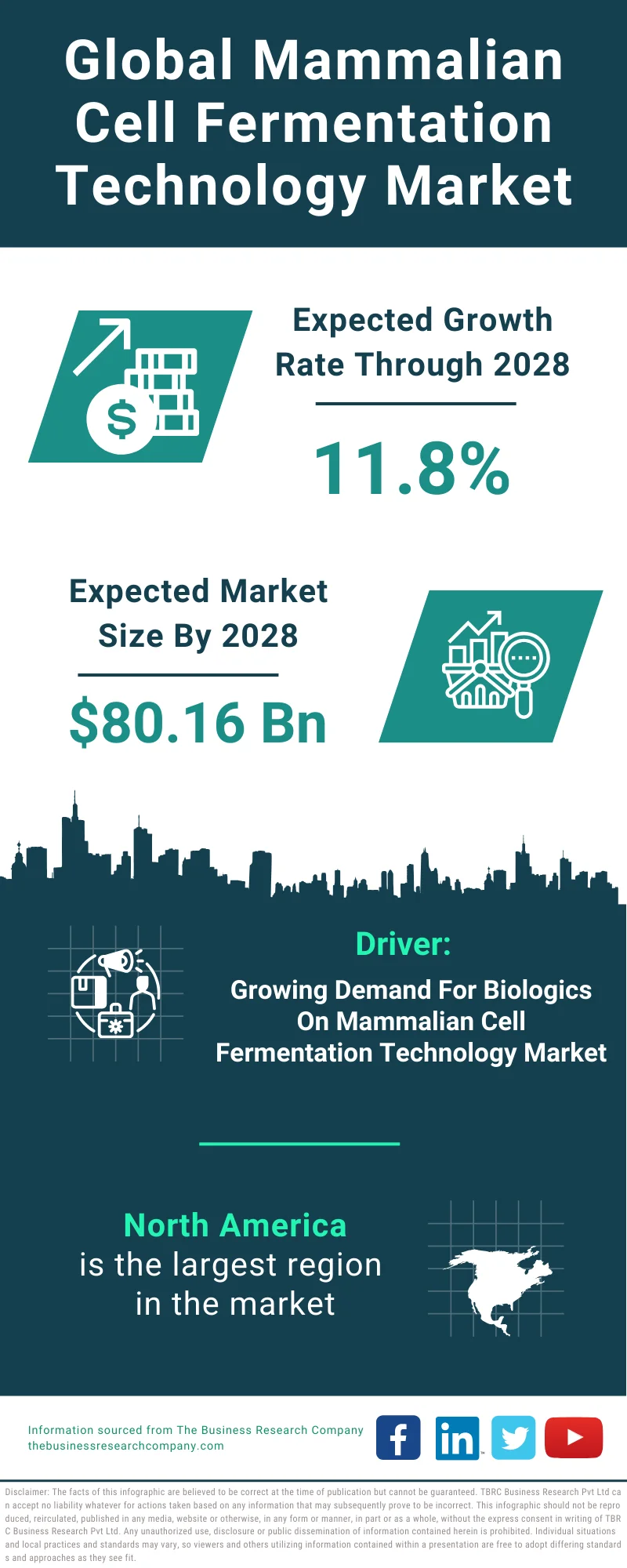 Mammalian Cell Fermentation Technology Global Market Report 2024