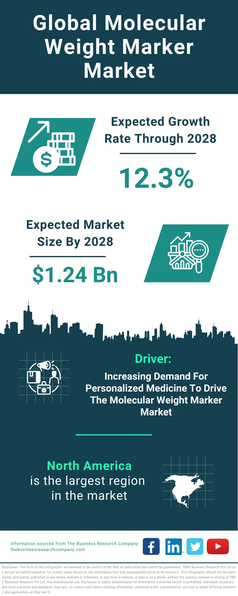 Molecular Weight Marker Global Market Report 2024