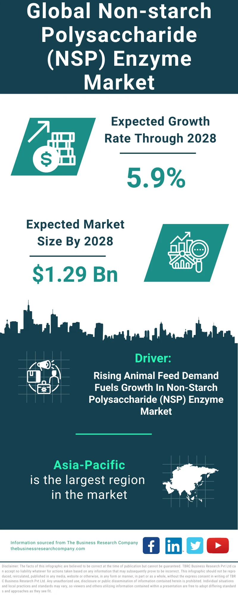 Non-starch Polysaccharide (NSP) Enzyme Global Market Report 2024