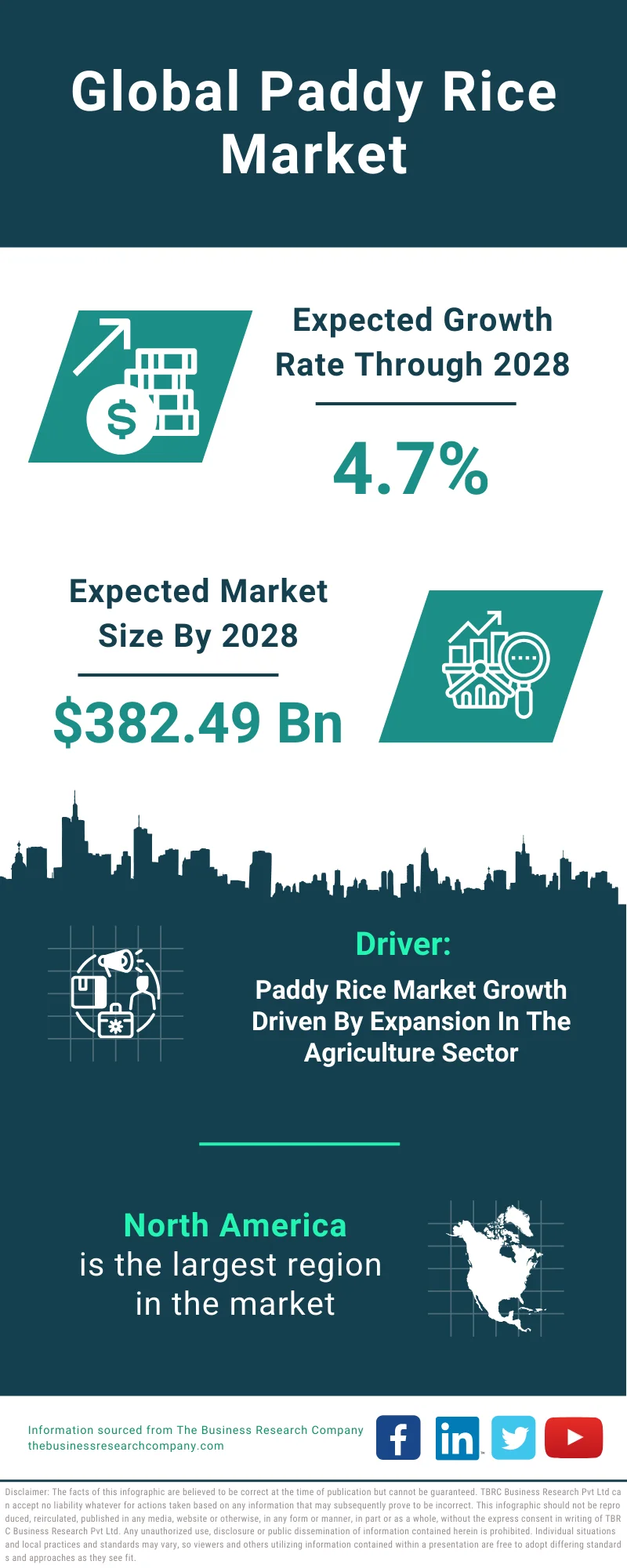 Paddy Rice Global Market Report 2024