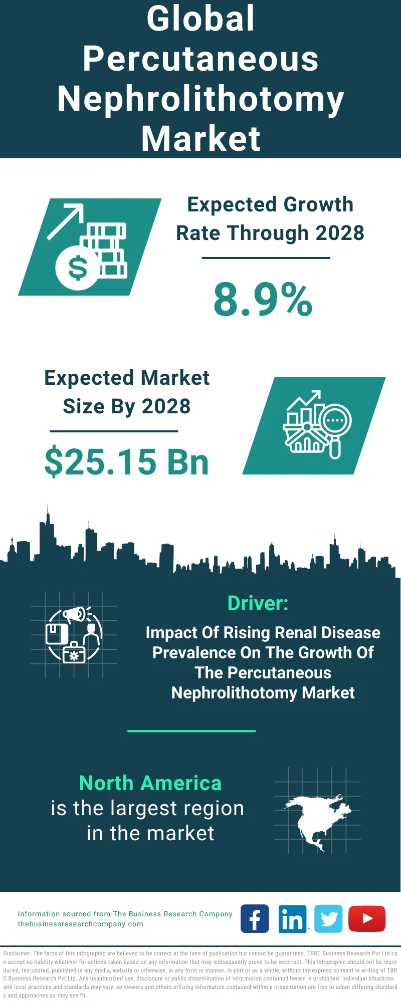 Percutaneous Nephrolithotomy Global Market Report 2024