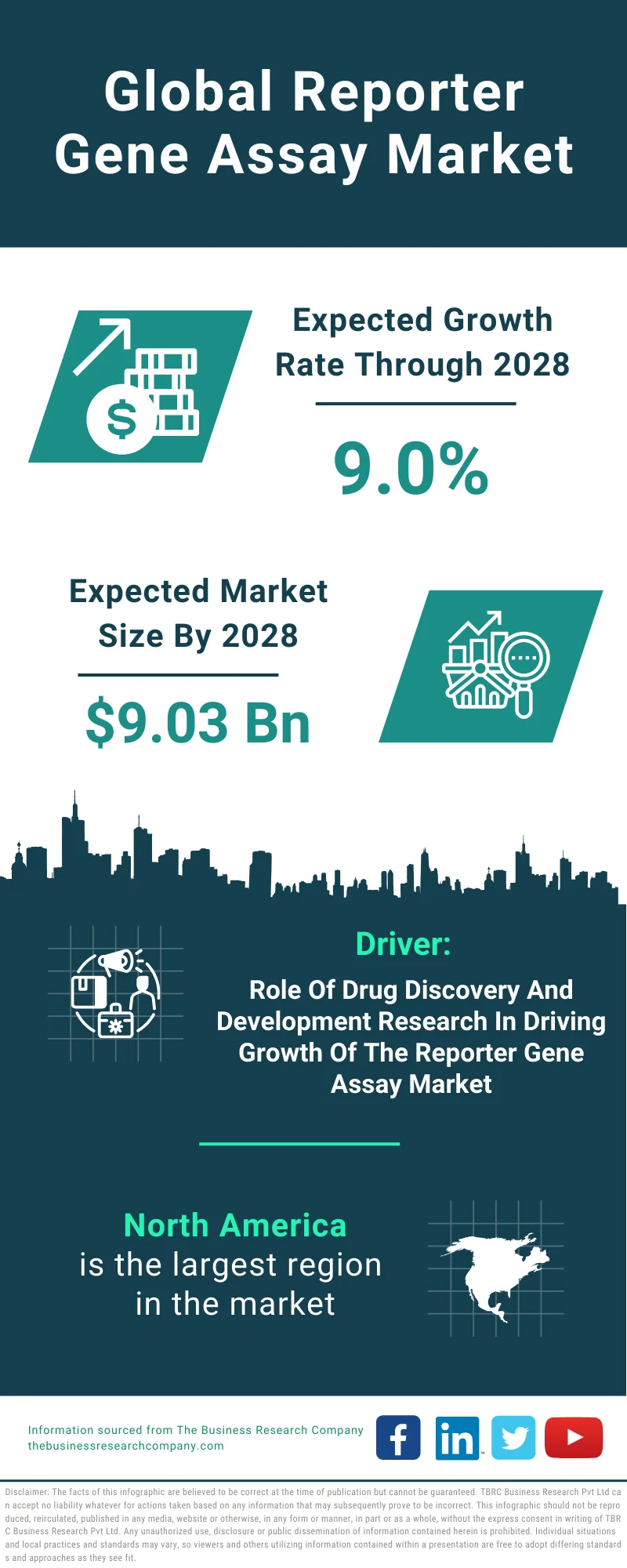 Reporter Gene Assay Global Market Report 2024