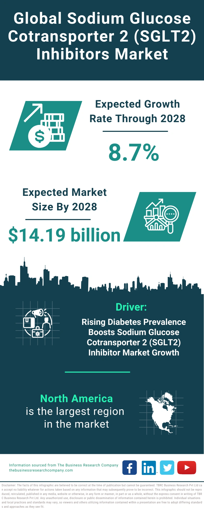 Global Sodium Glucose Cotransporter 2 (SGLT2) Inhibitors Market Infographic