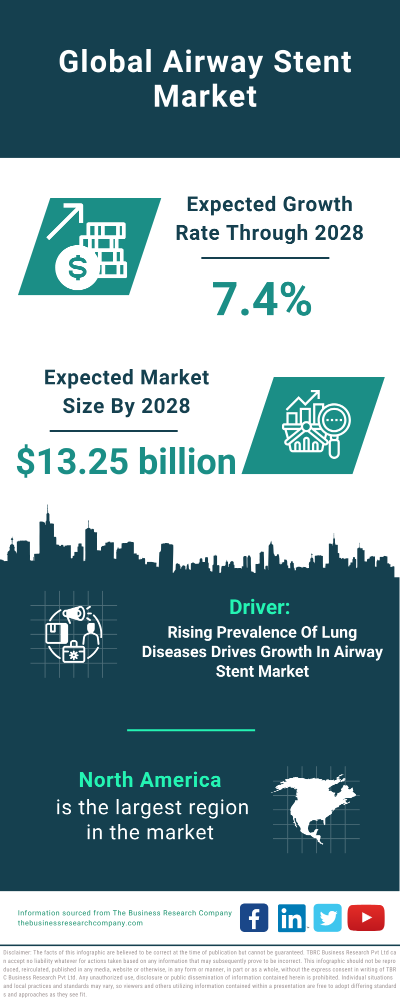 Global Airway Stent Market Infographic