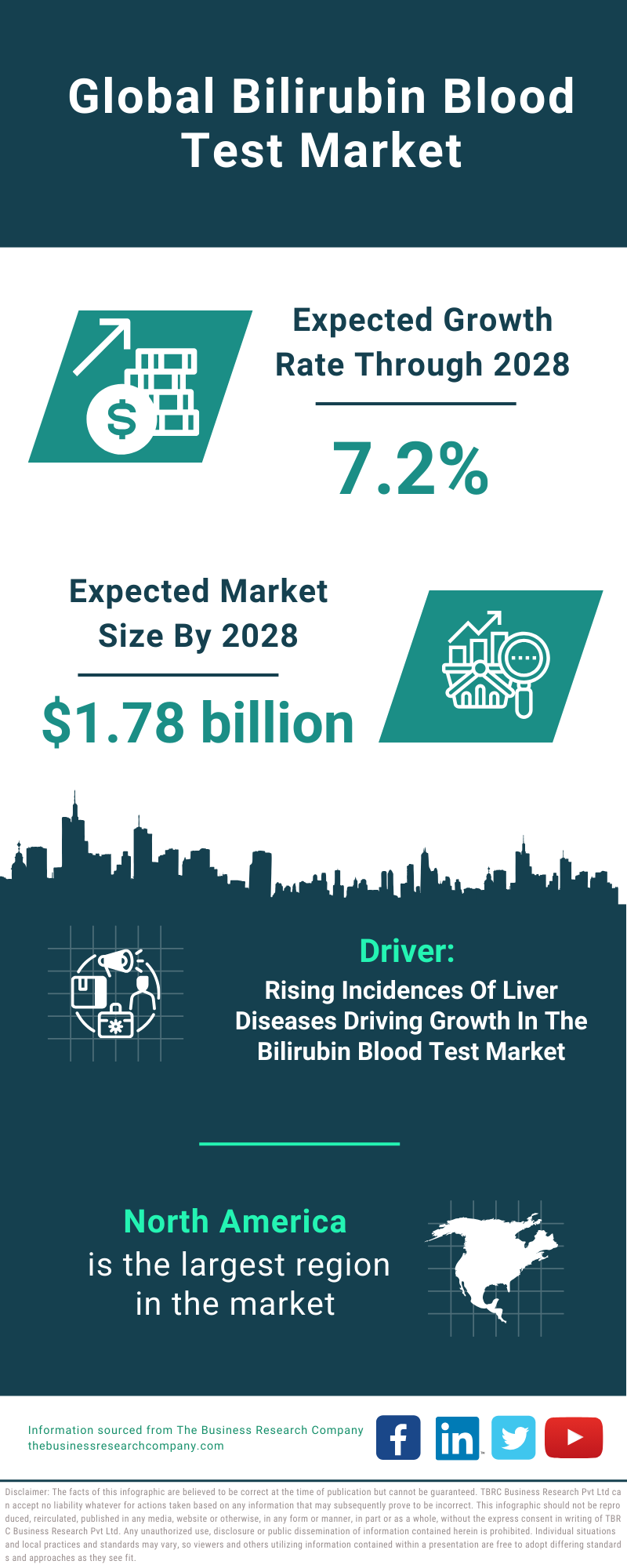 Global Bilirubin Blood Test Market Infographic