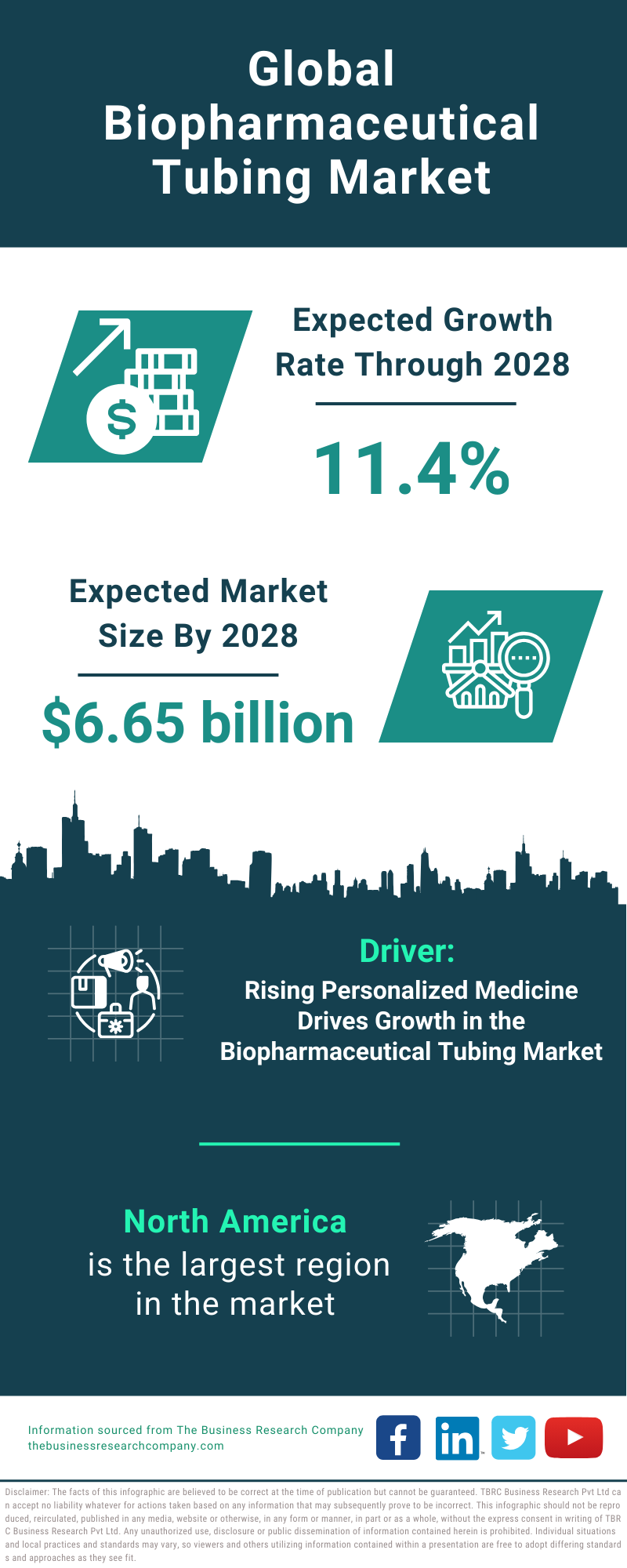 Global Biopharmaceutical Tubing Market Infographic