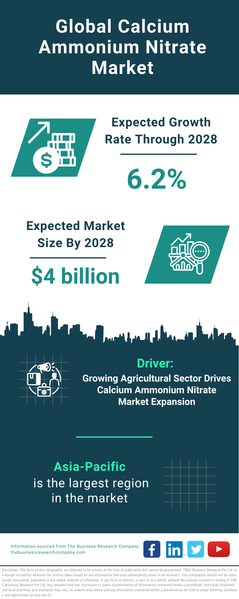 Global Calcium Ammonium Nitrate Market Infographic