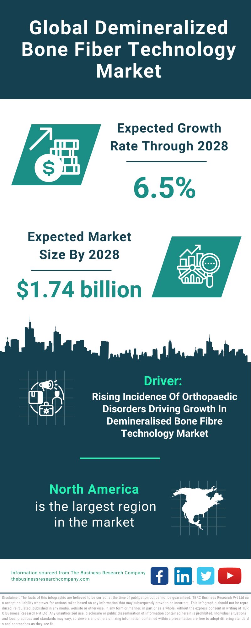 Global Demineralized Bone Fiber Technology Market Infographic