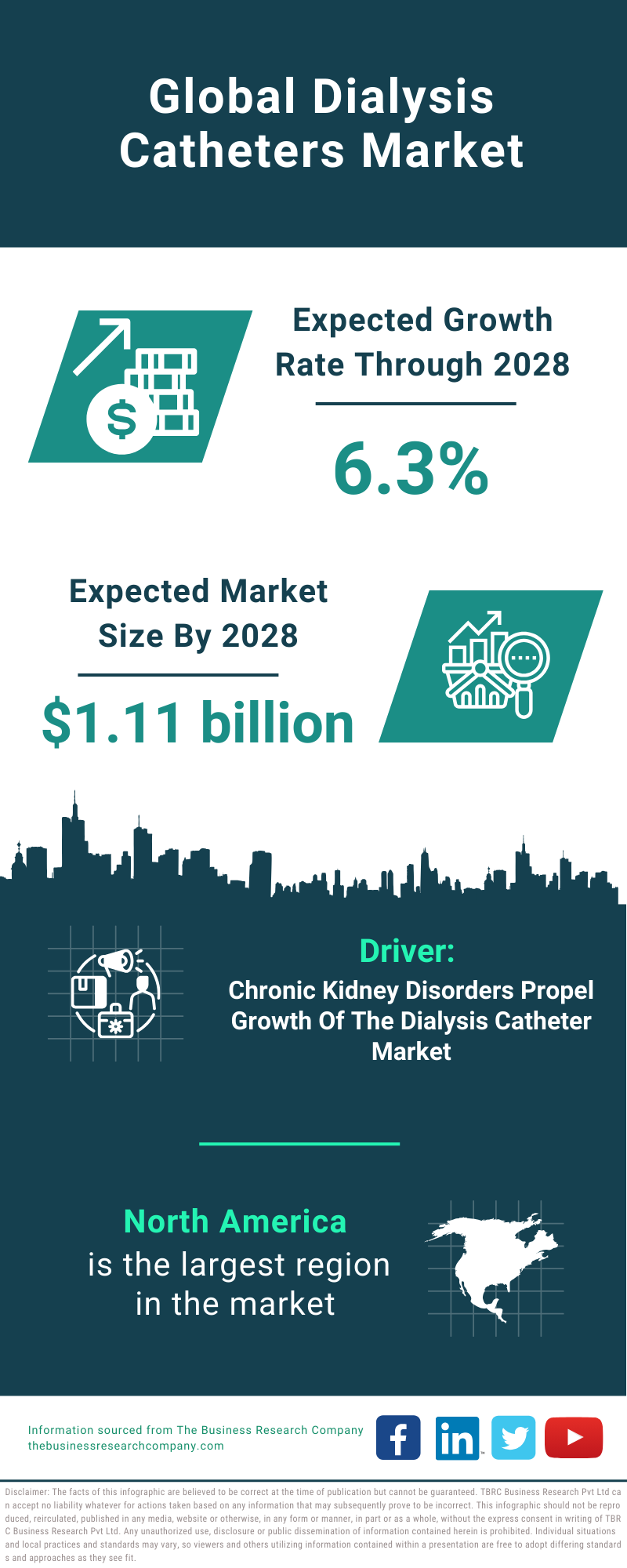 Global Dialysis Catheters Market Infographic