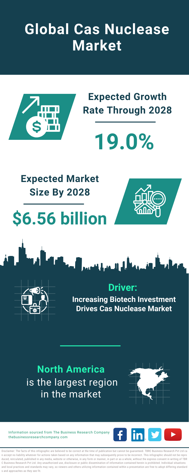 Global Cas Nuclease Market Infographic