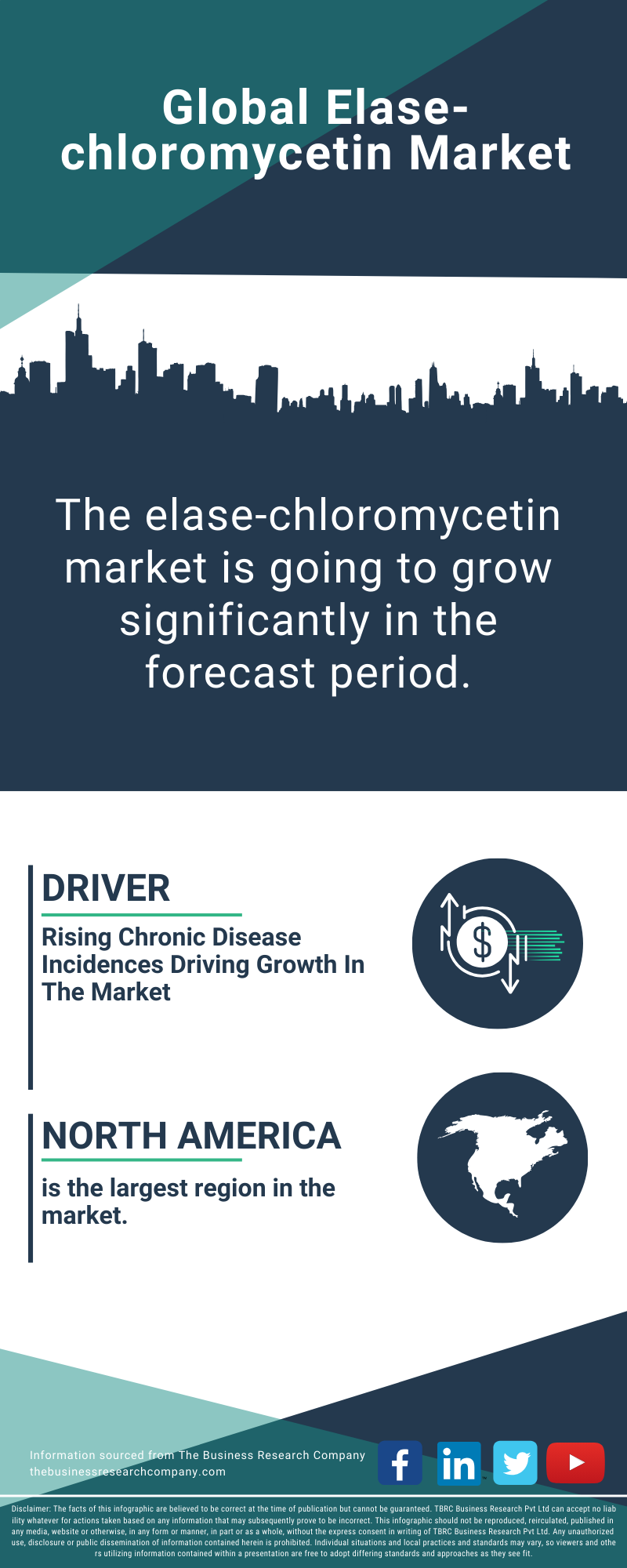 Elase-chloromycetin Global Market Report 2025