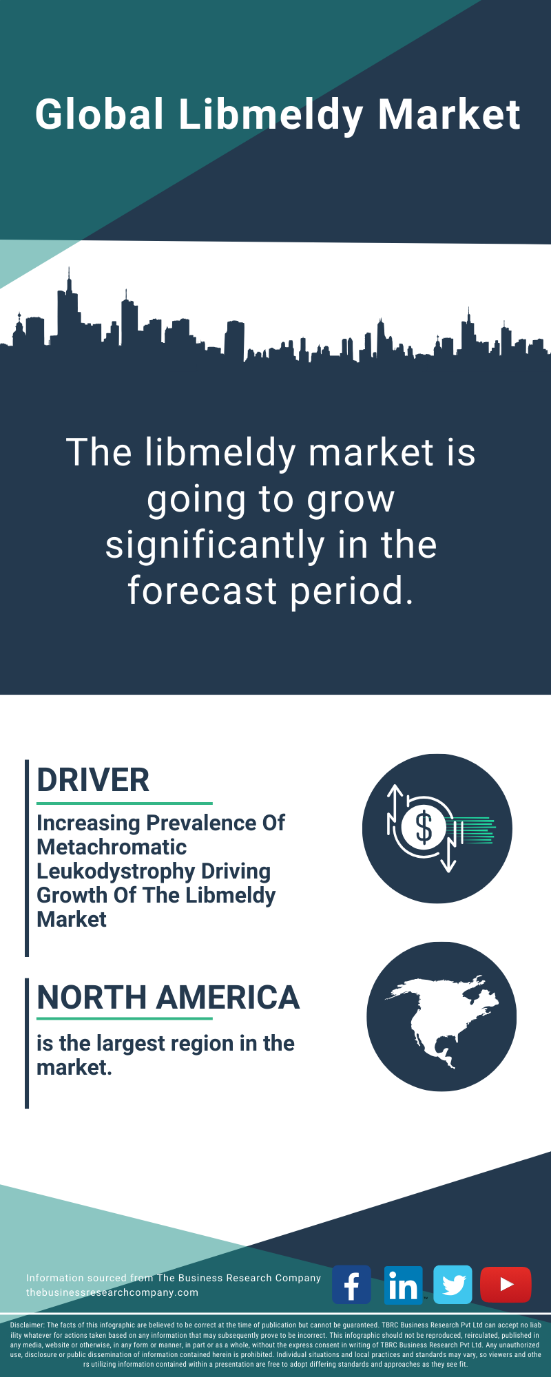 Libmeldy Global Market Report 2025