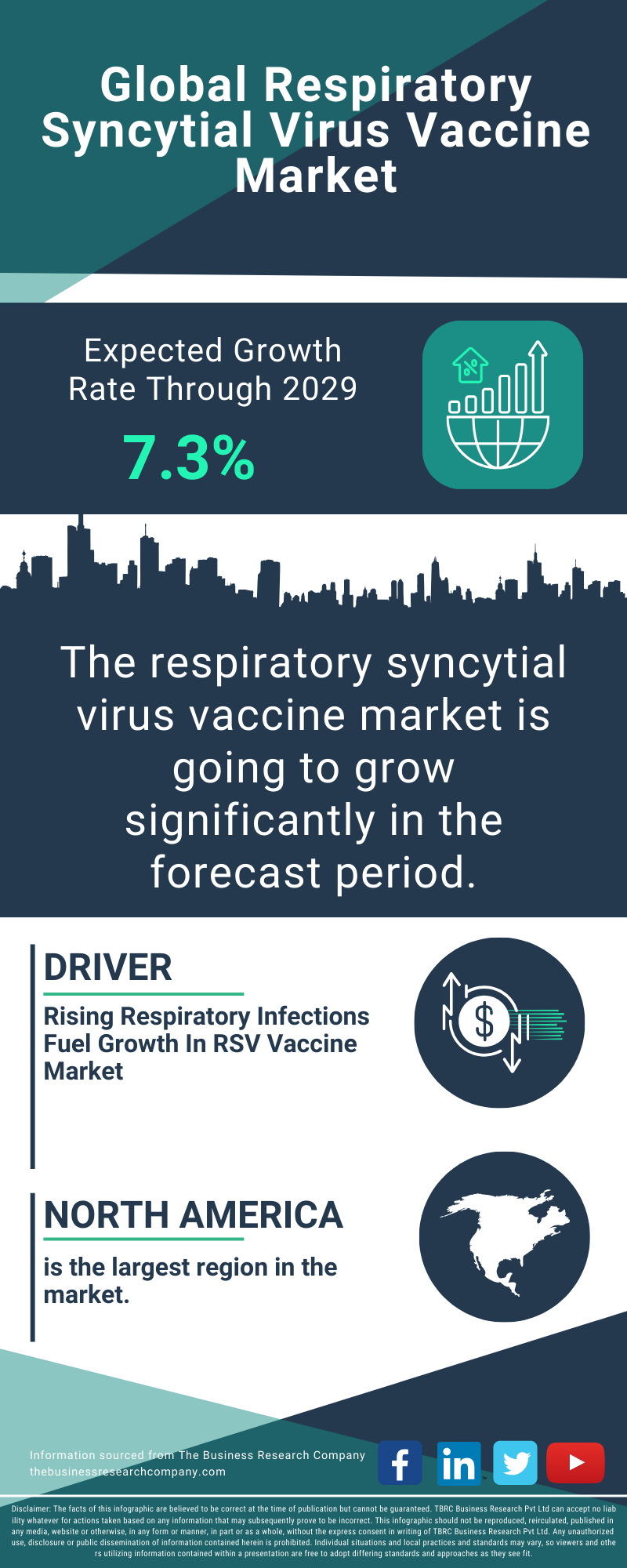 Respiratory Syncytial Virus Vaccine Global Market Report 2025