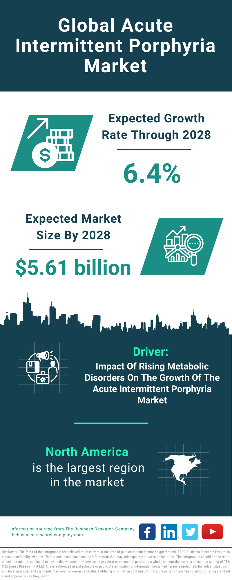 Global Acute Intermittent Porphyria Market Infographic