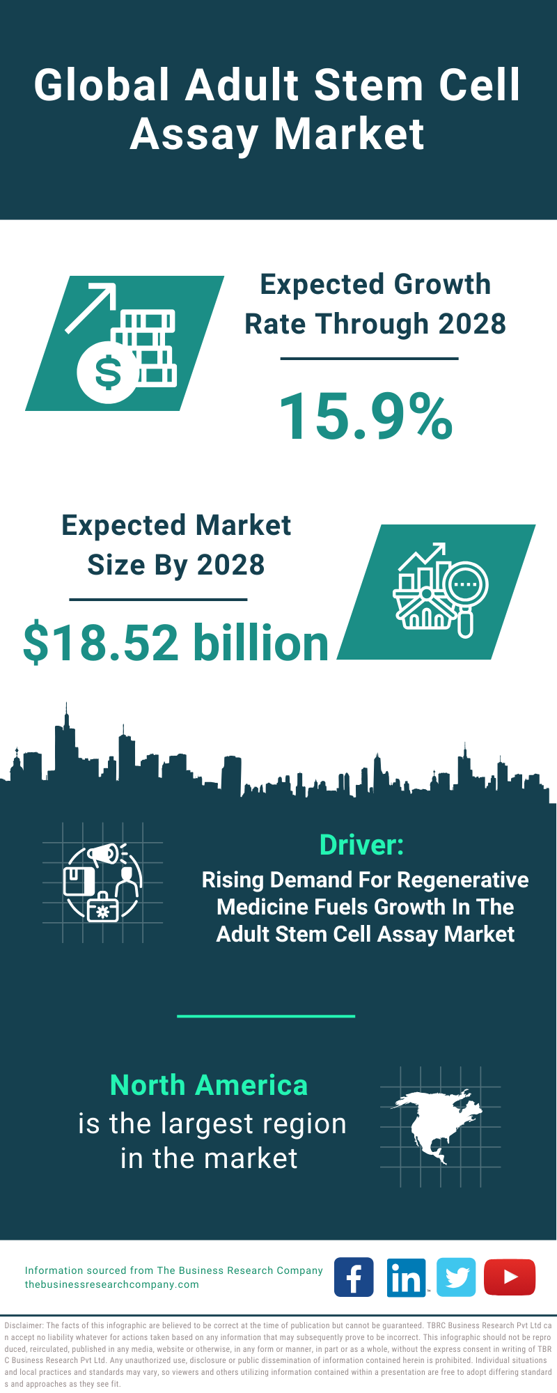 Global Adult Stem Cell Assay Market Infographic