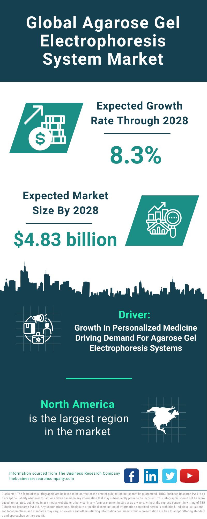 Global Agarose Gel Electrophoresis System Market Infographic