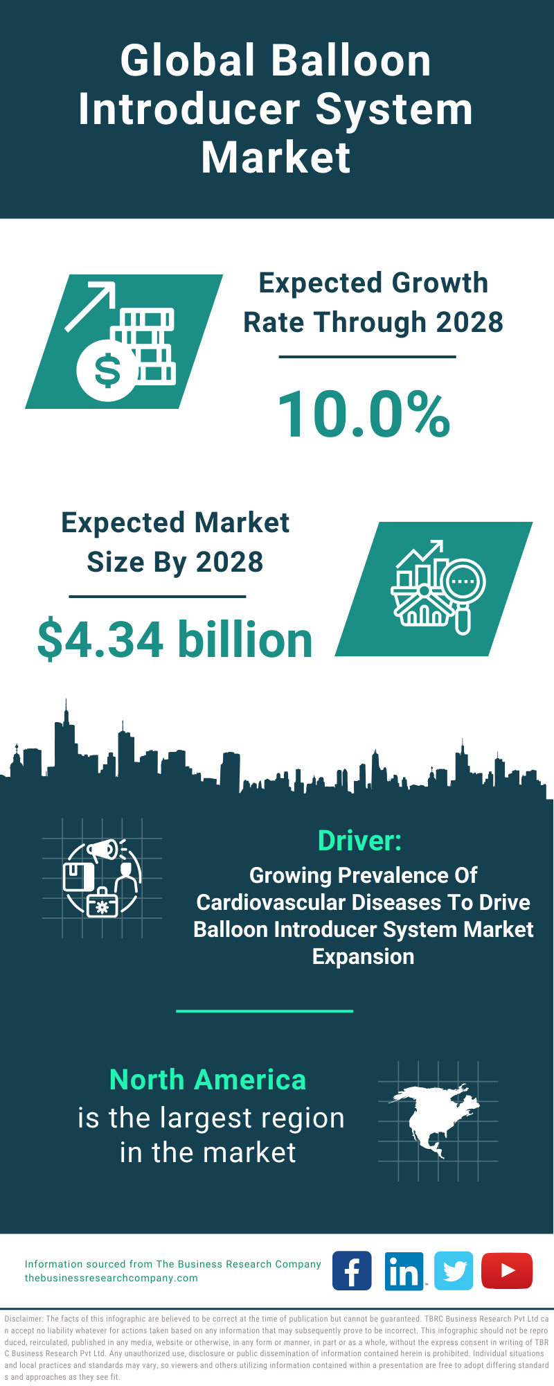 Global Balloon Introducer System Market Infographic