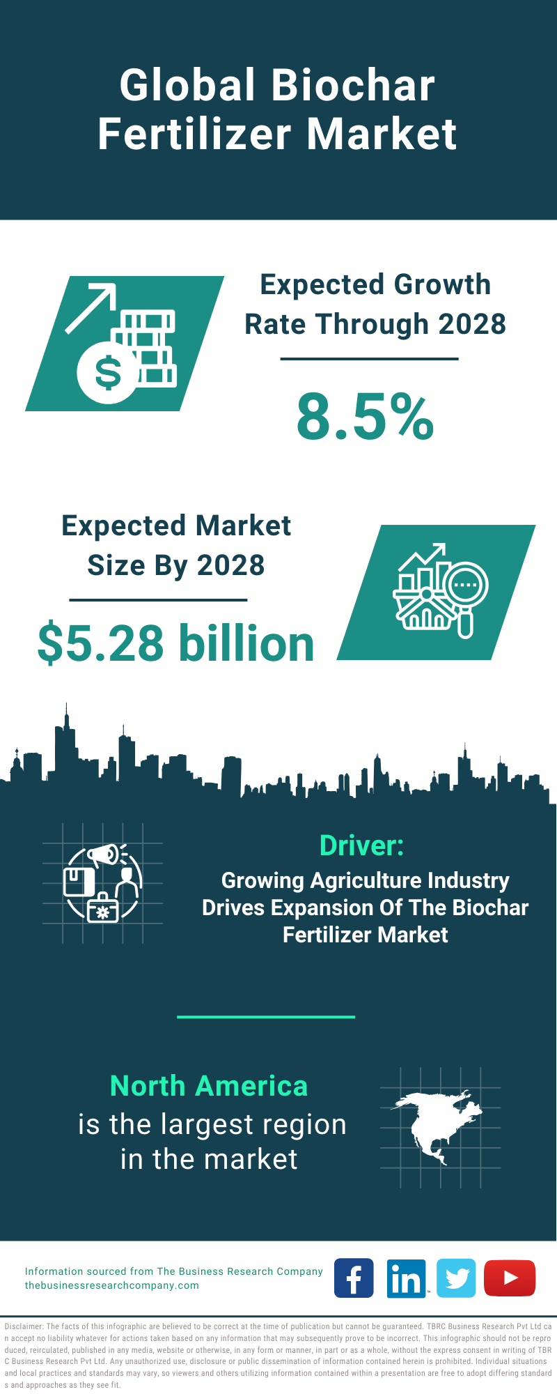 Global Biochar Fertilizer Market Infographic