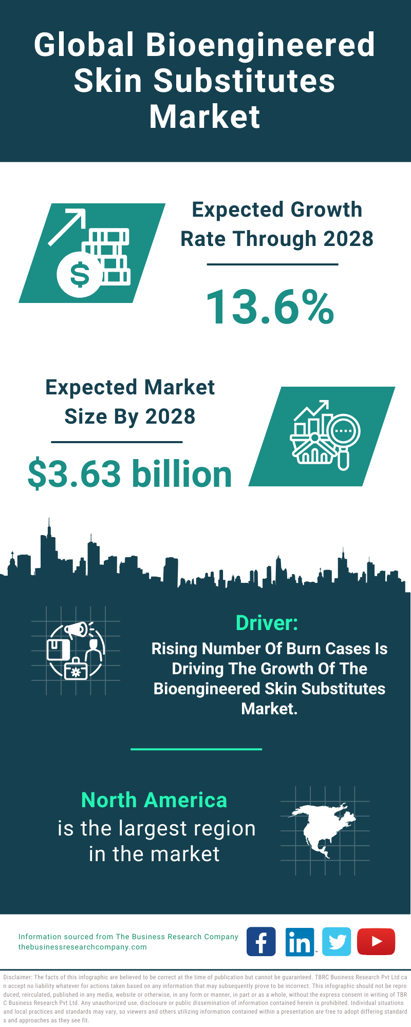 Global Bioengineered Skin Substitutes Market Infographic