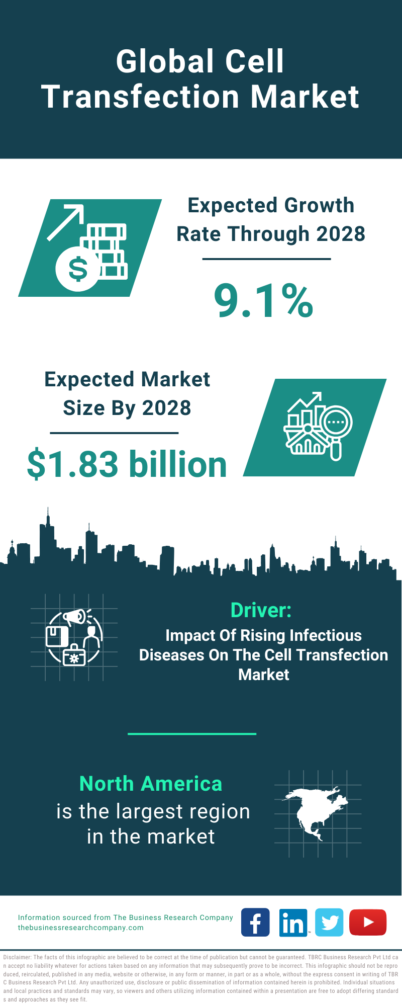 Global Cell Transfection Market Infographic