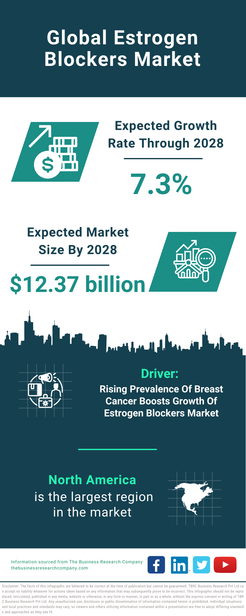 Global Estrogen Blockers Market Infographic